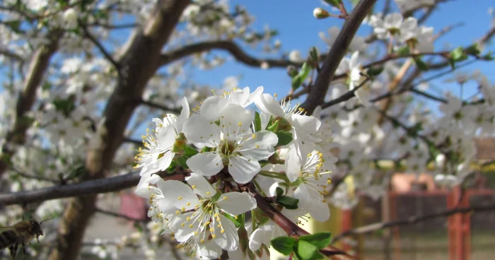 Prognoza-meteo-pentru-27-28-aprilie-Weekend-nsorit-i-cald-de-Florii