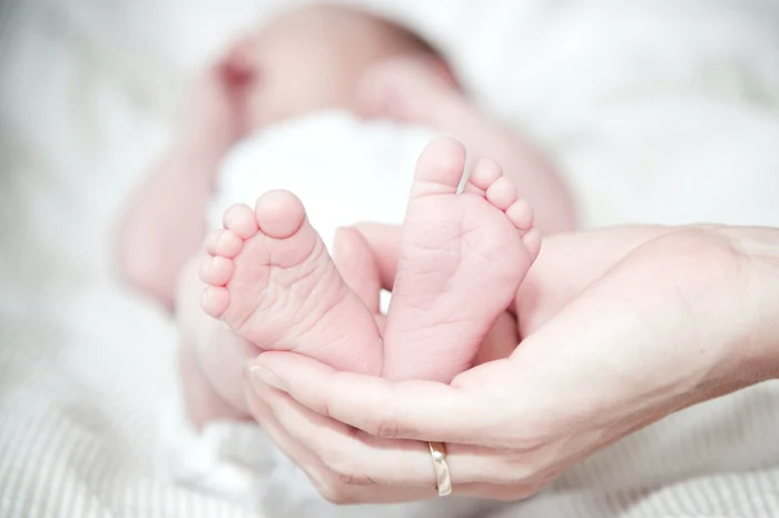 Programul-de-fertilizare-in-vitro-fr-finanare-n-2024-Ministrul-Familiei-Am-stopat-depunerea-de-dosare-