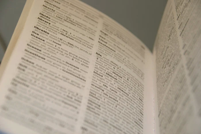 Rizz-declarat-cuvntul-anului-de-dicionarul-englez-Oxford