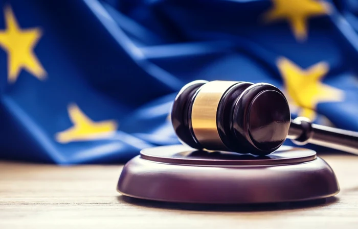 Romnia-obligat-s-aplice-hotrrile-CEDO-n-ceea-ce-privete-drepturile-persoanelor-cu-dizabiliti-intelectuale