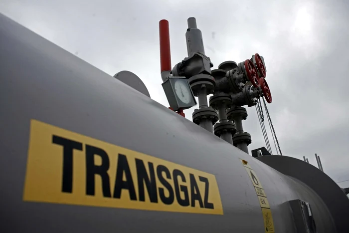 Sterian-Companiile-romneti-colaboreaz-bine-cu-cele-din-Turcia-cnd-e-vorba-de-transport-de-gaze