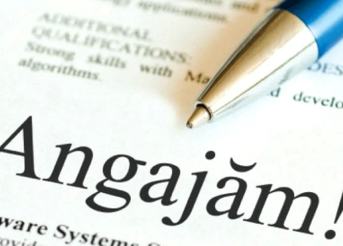 Tinerii-iau-cu-asalt-piaa-muncii-atrai-de-primele-de-angajare