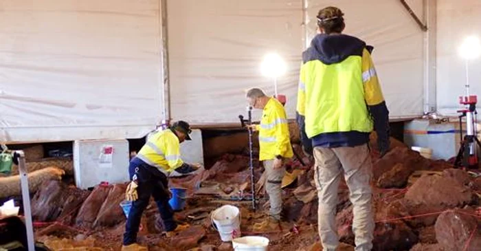 Un-dinte-de-diavol-tasmanian-printre-descoperirile-fcute-ntr-un-sit-din-Australia-Specia-a-disprut-de-pe-continent-n-urm-cu-mii-de-ani