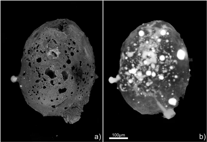 Un-meteorit-care-conine-un-aliaj-extrem-de-rar-a-fost-descoperit-n-Italia