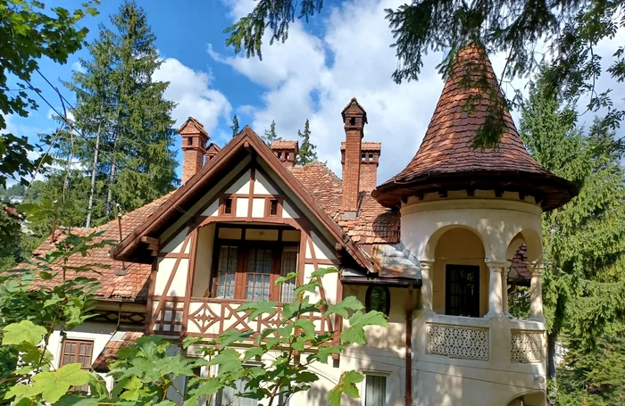 Vila-din-Sinaia-a-prinului-Paul-de-Romnia-vndut-de-ANAF-Preul-obinut-la-licitaie-a-uimit-experii-imobiliari