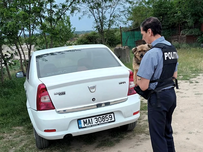 Amenda-primit-de-olteanul-care-i-a-abandonat-de-dou-ori-cinele-Povestea-vndut-poliitilor