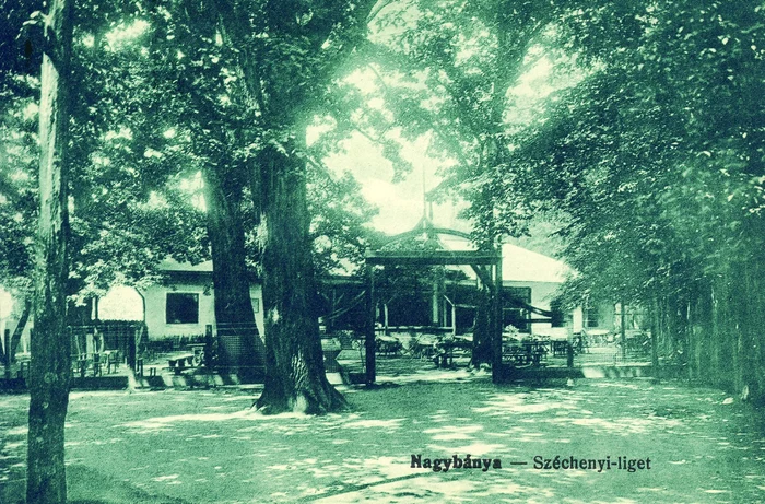 Cum-arta-cel-mai-mare-parc-din-Baia-Mare-acum-100-de-ani-Oraul-era-staiune-turistic