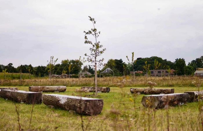 Ecologie-dincolo-de-moarte-unde-va-fi-amenajat-primul-cimitir-ecologic-din-Romnia