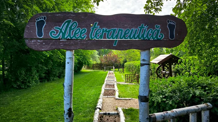 Grdina-Senzorial-i-Botanica-Distractiv-dou-atracii-care-aduc-natura-mai-aproape-de-romni-Unde-pot-fi-vizitate-FOTO