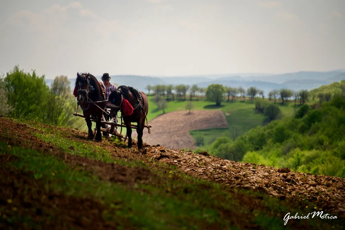 Obiceiuri-din-Maramure-Primul-gospodar-ieit-la-arat-era-srbtorit-n-a-doua-zi-de-Pati