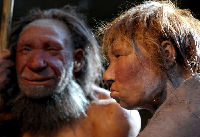 Virusurile-care-au-dus-la-dispariia-oamenilor-de-Neanderthal-Cercettorii-au-gsit-boli-cu-transmitere-sexual-n-oase-din-Siberia