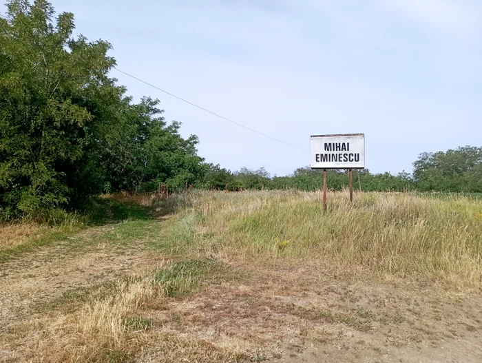 Cum-se-transform-un-ctun-uitat-de-lume-ntr-o-oaz-anti-stres-pentru-oreni-Este-situat-n-mijlocul-unei-pduri-FOTO