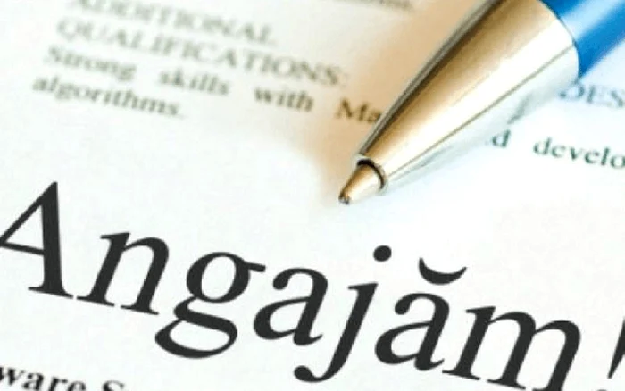 Vntoarea-de-angajai-Un-sfert-dintre-salariai-primesc-cel-puin-o-ofert-nou-de-job-pe-lun