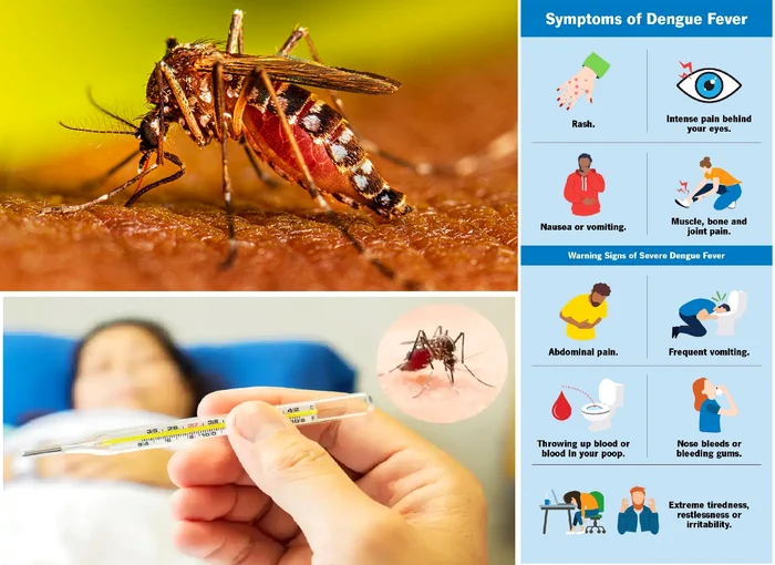 Febra-Dengue-Cum-s-i-salvezi-viaa-i-s-previi-infecia-sever-semnele-timpurii