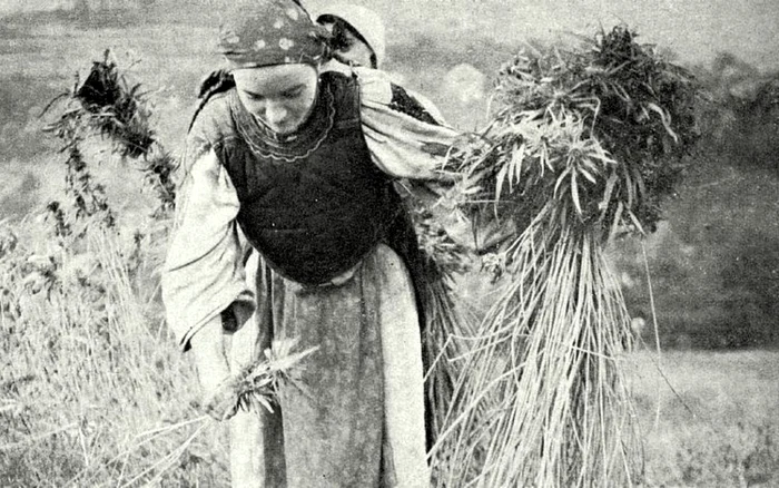 Istoric-nfiorat-de-traiul-primitiv-al-romnilor-din-inutul-Pdurenilor-Credina-lor-amintiri-ale-pgnismului-de-altdat