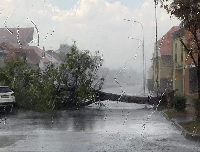 Traficul-este-blocat-n-zona-semicentral-a-Braovului-din-cauza-condiiilor-meteo-furtuna-a-scos-din-rdcini-un-copac-FOTO