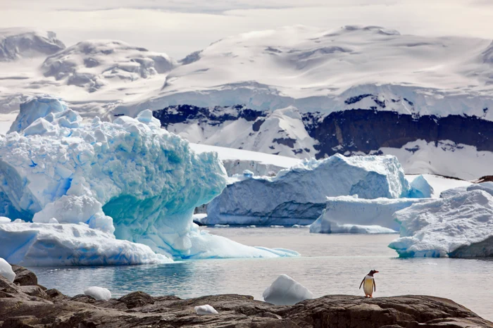 ---------Antarctica-sub-asediu-Topirea-ghearilor-deschide-poarta-invadatorilor