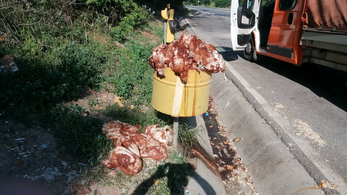 Misterul-ginilor-moarte-de-pe-DN14-Anchet-n-curs-dup-descoperirea-a-sute-de-cadavre