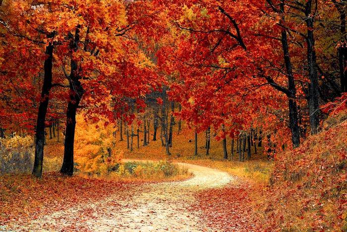 ---------Cum-va-fi-vremea-n-ultima-sptmn-din-septembrie-Unde-sunt-anunate-ploi