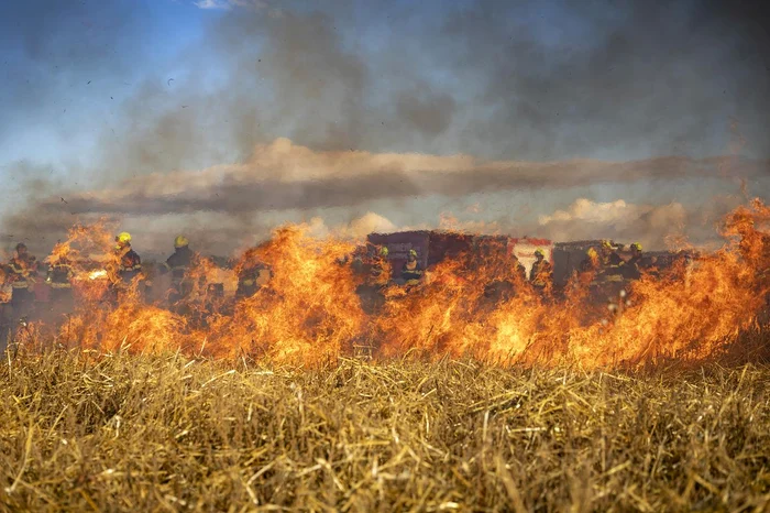 ---------Incendiu-masiv-aproape-de-Capital-Au-ars-peste-1000-de-metri-ptrai-de-vegetaie-uscat