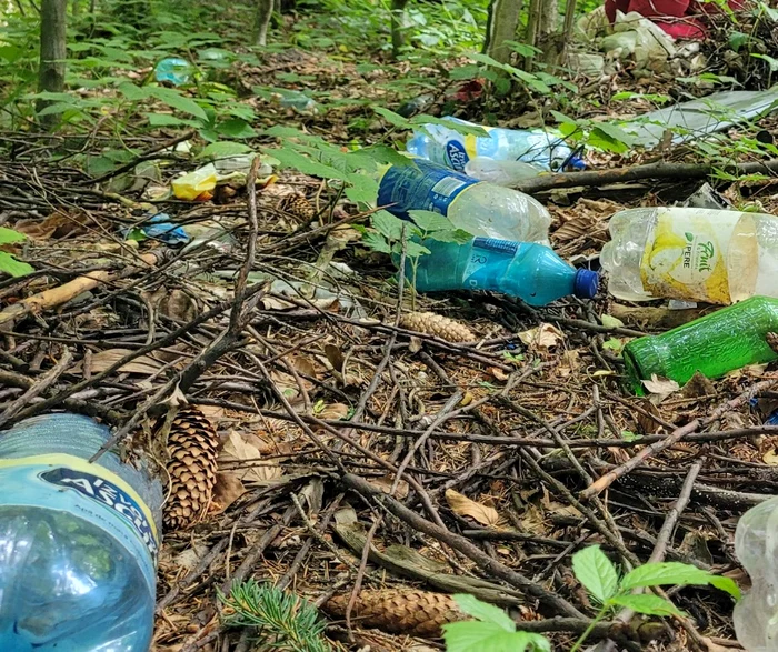 ---------Plasticul-din-natur-au-devenit-o-problem-major-n-Romnia-40-din-romni-cer-sanciuni-mai-aspre