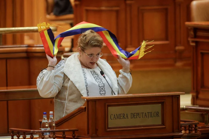 ---------Diana-ooac-anun-c-va-candida-din-nou-la-alegerile-prezideniale-Scandal-la-CCR-i-jigniri-pentru-jurnaliti-Suntei-nite-inculi-i-incompeteni