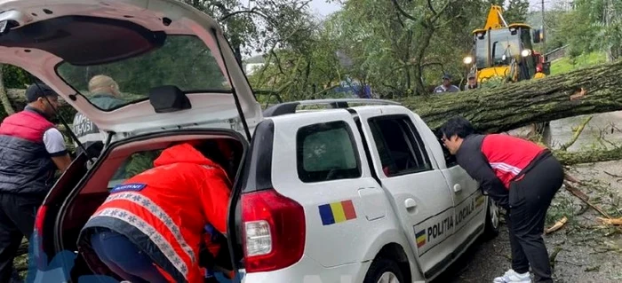 ---------Copac-prbuit-din-cauza-vijeliei-peste-o-main-a-Poliiei-Locale-n-judeul-Bacu-Unul-dintre-ageni-a-rmas-blocat