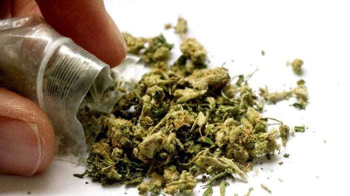 ---------Motivul-pentru-care-procurorii-DIICOT-au-fost-obligai-s-restituie-cannabisul-confiscat-unui-cuplu-de-romni