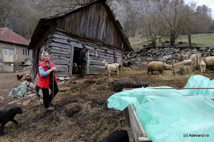 Video----------Fenomenele-stranii-petrecute-n-Cheile-Cibului-Toi-oamenii-din-sat-i-au-mpodobit-casele-cu-cruci-i-icoane