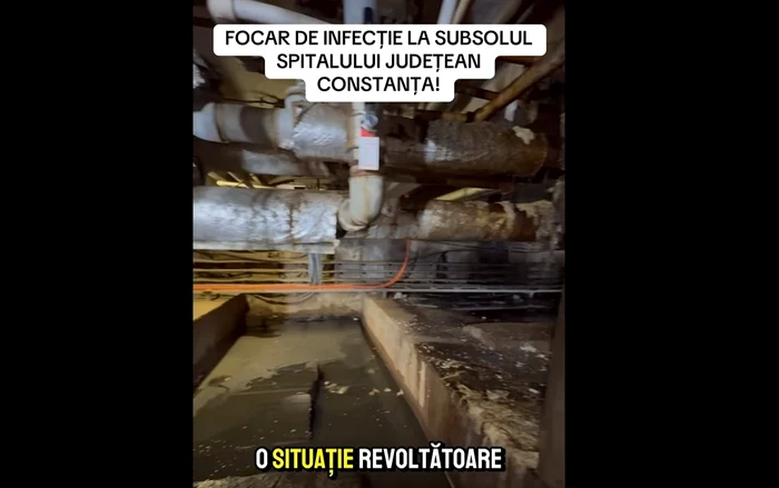 Video----------Focar-de-infecie-descoperit-n-subsolul-Spitalului-Judeean-Constana-obolani-mori-vii-resturi-pamperi-evi-colmatate-sparte