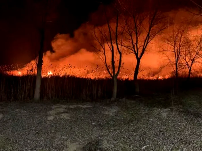 Video----------Incendiu-puternic-de-vegetaie-n-Delta-Dunrii-n-zona-localitii-Sulina