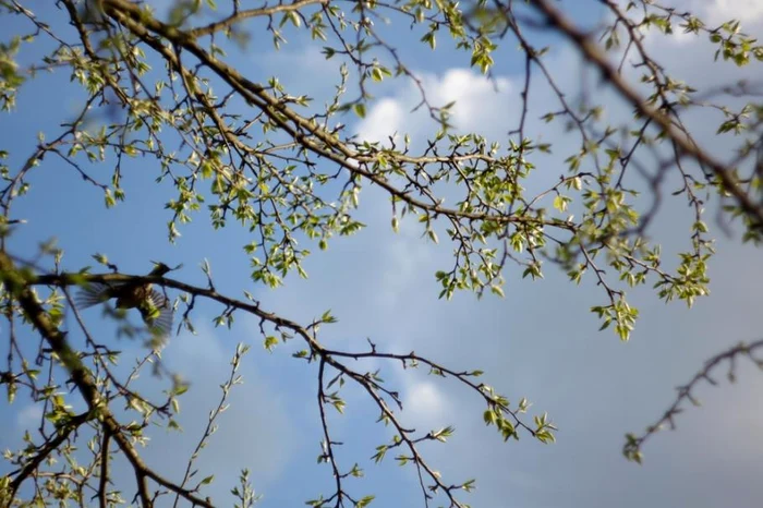---------Cum-va-fi-vremea-n-minivacana-de-1-Mai-ANM-a-actualizat-prognoza-