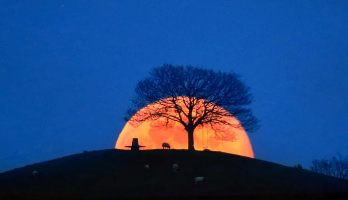---------Luna-Roz-strlucete-pe-cerul-Romniei-n-acest-weekend-Care-este-momentul-ideal-pentru-a-putea-fi-observat