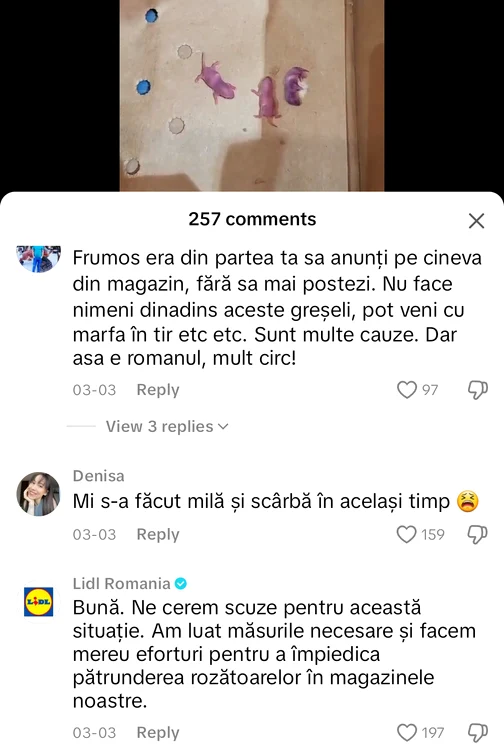 Video----------Mi-e-mil-i-scrb-Pui-de-oareci-printre-bananele-din-Lidl-Lugoj-Reacia-retailerului