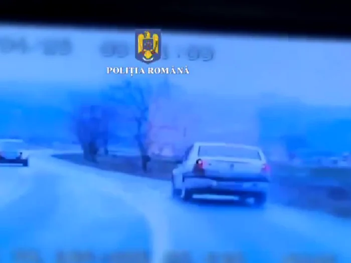 Video----------Patru-infraciuni-n-timp-record-cum-a-sfidat-legile-o-tnr-de-20-de-ani-din-Braov-