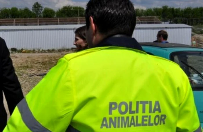 ---------i-pgubit-i-amendat-Un-tnr-de-22-ani-din-Olt-are-de-pltit-12000-lei-dup-moartea-animalului-de-povar