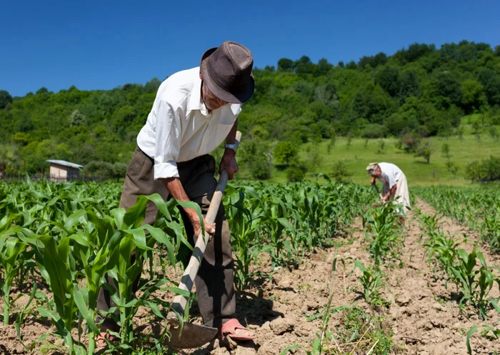---------Fotilor-agricultori-le-a-venit-rndul-la-recalculare-dup-30-de-ani-de-munc-primesc-pensii-de-subzisten