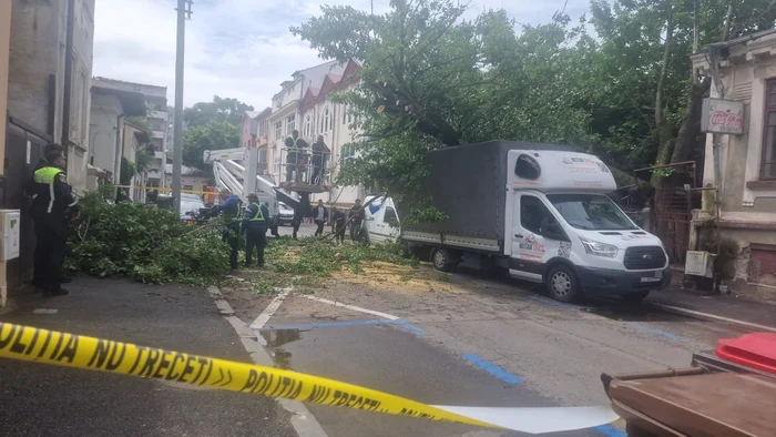 ---------Patru-autovehicule-avariate-dup-ce-un-copac-a-czut-pe-ele-Autoritile-au-anunat-restricii-de-trafic