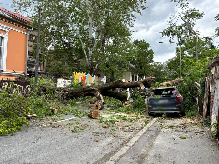 ---------Un-copac-a-czut-pe-dou-maini-n-Capital-Traficul-este-oprit