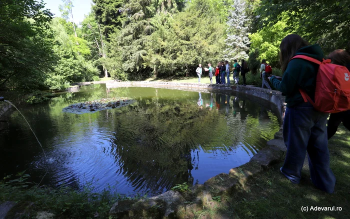 Video----------Transformarea-celui-mai-vechi-parc-dendrologic-Locul-de-poveste-cu-sute-de-arbori-uscai-i-dobori-de-furtuni-