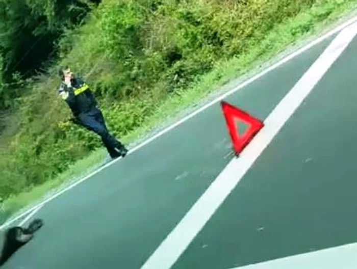 Video----------Un-urs-a-fost-lovit-mortal-de-dou-maini-pe-DN-1-Circulaia-rutier-a-fost-afectat