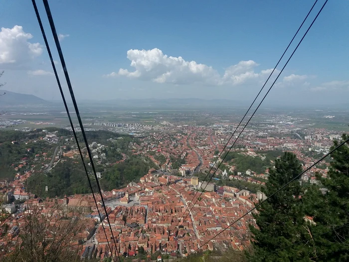 ---------Braovul-luat-cu-mprumut-pentru-bere-Ce-marc-ncearc-s-nregistreze-o-firm-din-Ilfov