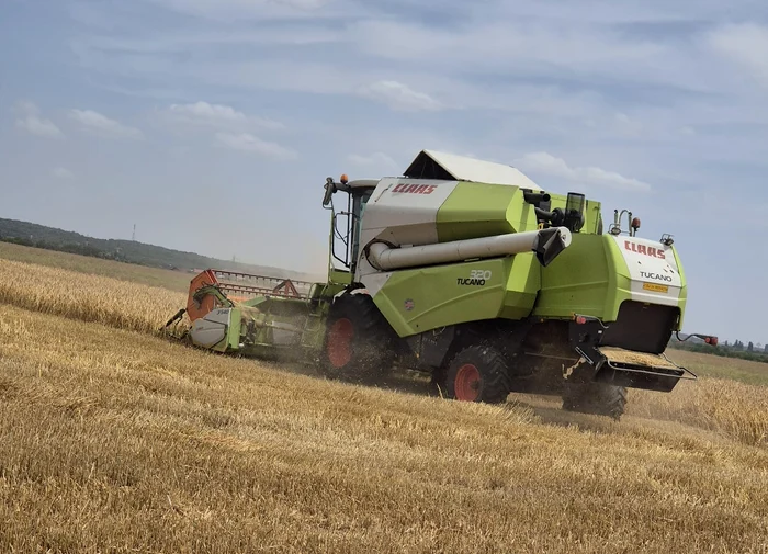 ---------De-la-secet-pedologic-la-sperane-pentru-cel-mai-bun-an-agricol-de-mult-vreme-ncoace-E-cmpul-vesel-tot