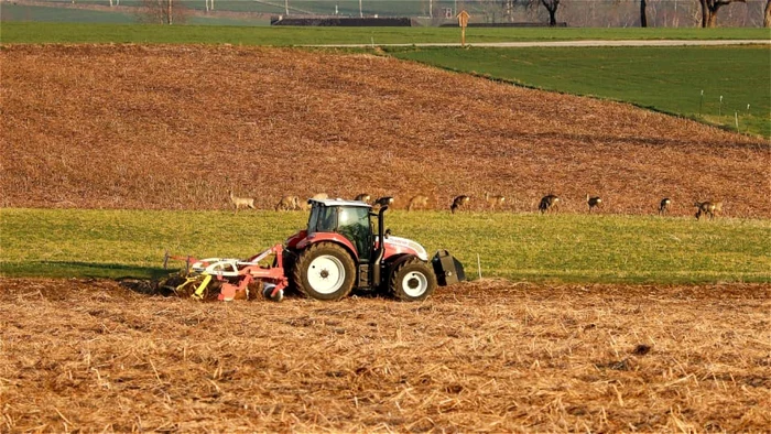 ---------Exploatai-i-abandonai-n-Frana-14-romni-pui-s-munceasc-n-condiii-cumplite-n-20-de-ferme
