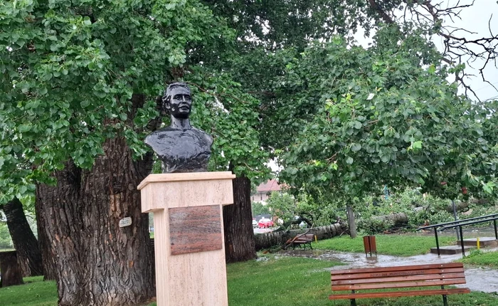 ---------Plopii-cu-so-Unul-dintre-copacii-care-l-au-inspirat-pe-Eminescu-s-a-prbuit-la-Iai-din-cauza-vntului-puternic-