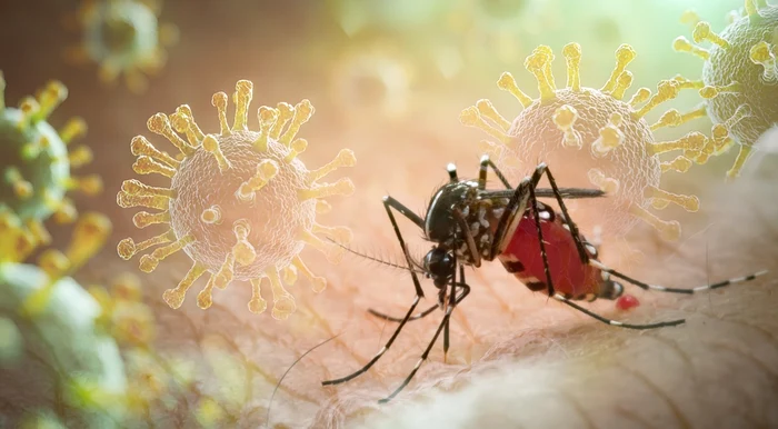 ---------Avertisment-pentru-turiti-Virus-tropical-care-poate-duce-la-afectarea-organelor-depistat-ntr-o-destinaie-popular-de-vacan
