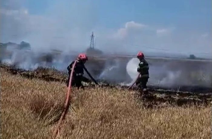 ---------Incendiu-de-proporii-ntr-un-lan-de-gru-lng-DN1-dup-ce-o-main-a-luat-foc-Traficul-afectat