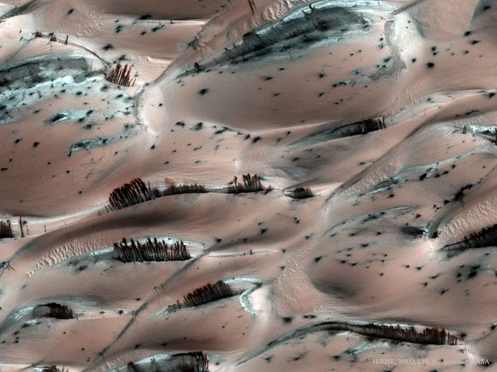 ---------NASA-a-publicat-o-fotografie-cu-o-scen-bizar-cu-copacii-de-pe-Marte-Care-este-explicaia-fenomenului