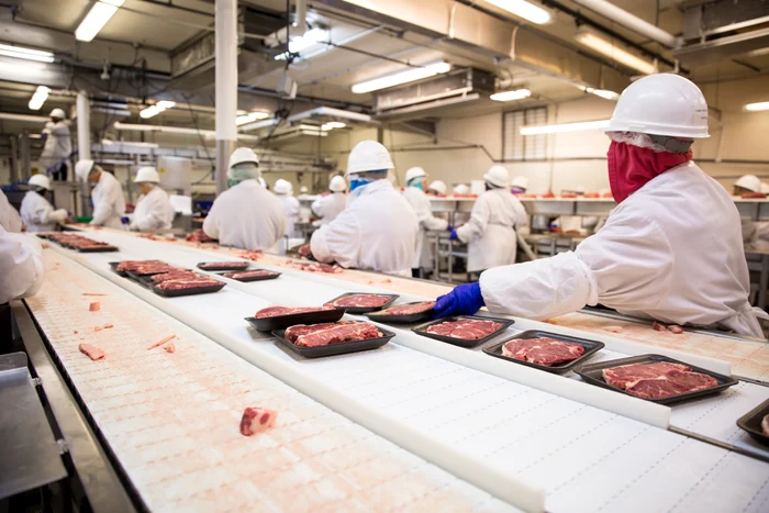---------Producia-de-carne-din-Romnia-a-crescut-semnificativ-n-anul-2024