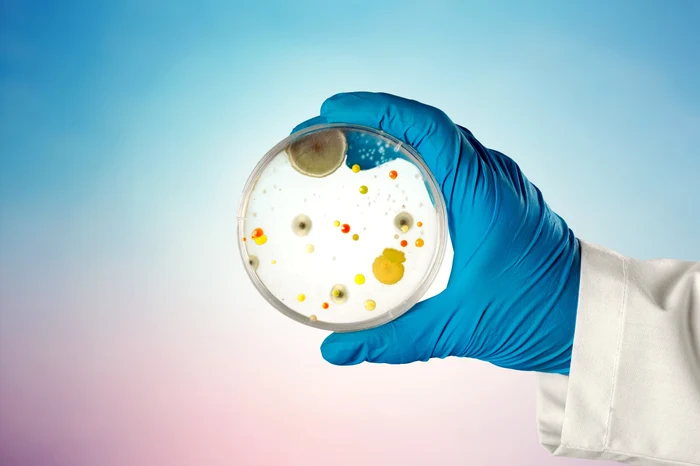 ---------Superbacteriile-ar-putea-provoca-milioane-de-decese-i-pierderi-economice-de-aproape-2000-de-miliarde-de-dolari-anual